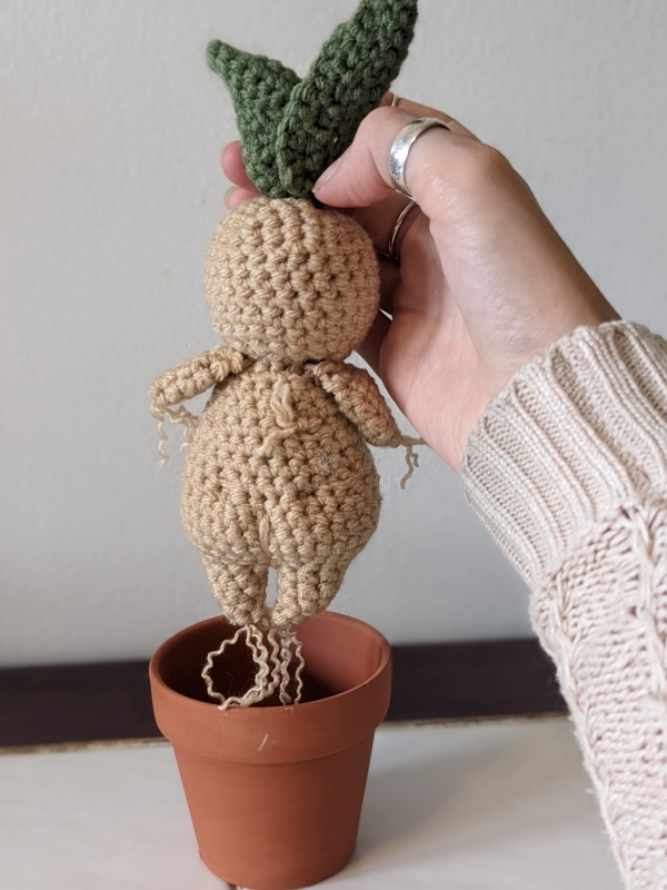 Jake The Mandrake Plant Amigurumi Pattern Amigurumi