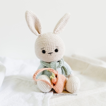 Benny the Bunny amigurumi pattern - Amigurumi.com