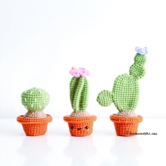 12 Mini Cactus Garden Bundle amigurumi pattern - Amigurumi.com