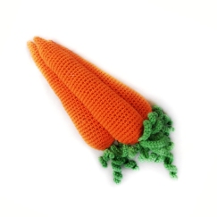 Carrot - Play food vegetable