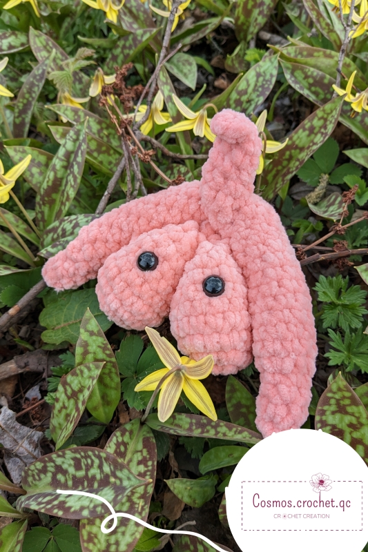 Cleo The Clitoris Anatomical Amigurumi Pattern 2274