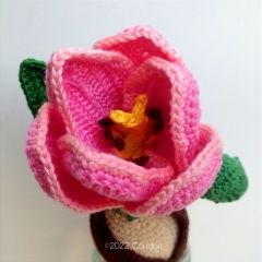 Tulip bulb amigurumi pattern - Amigurumi.com