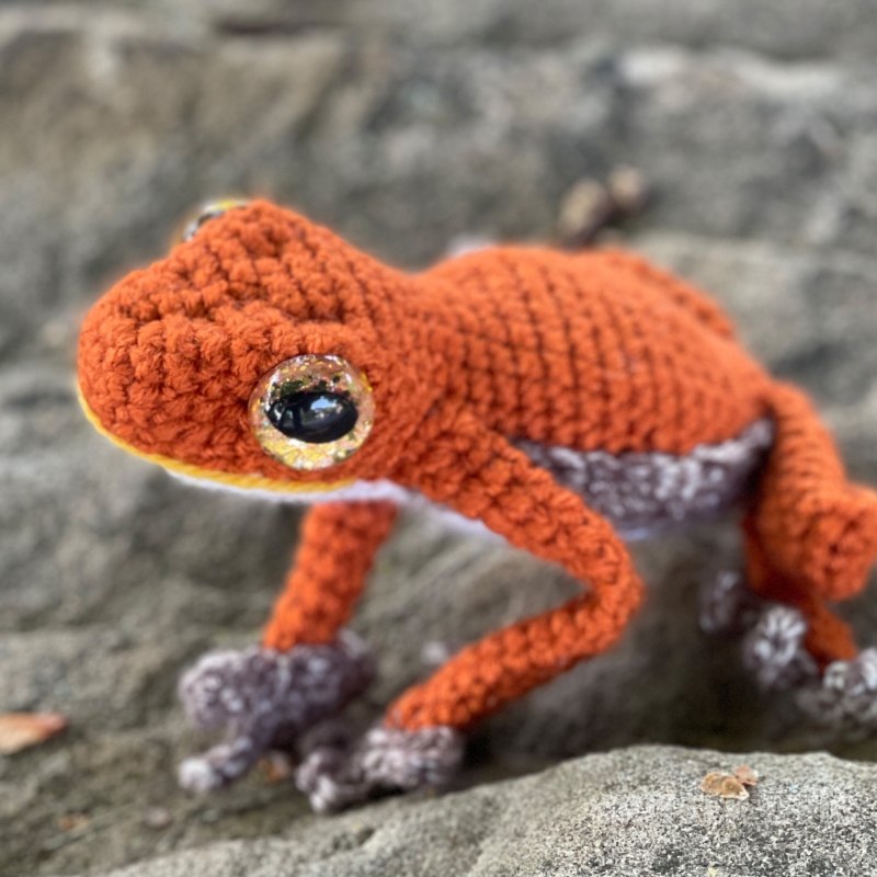 Ruby the Red Eyed Tree Frog amigurumi pattern - Amigurumi.com