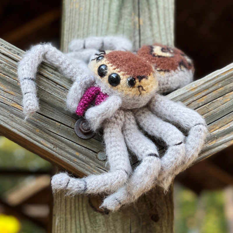 Scoot the Jumping Spider amigurumi pattern