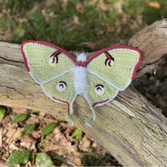 Luna Moth Butterfly amigurumi by MieksCreaties