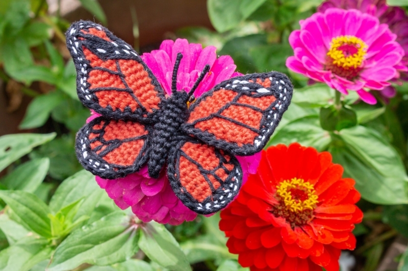 Monarch butterfly free amigurumi pattern