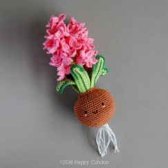 Hyacinth bulb - spring flower