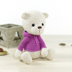 Teddy bear in a hoodie