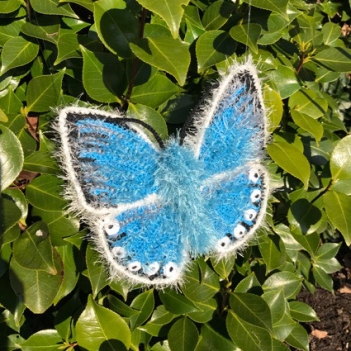 Chalkhill blue butterfly amigurumi pattern by MieksCreaties
