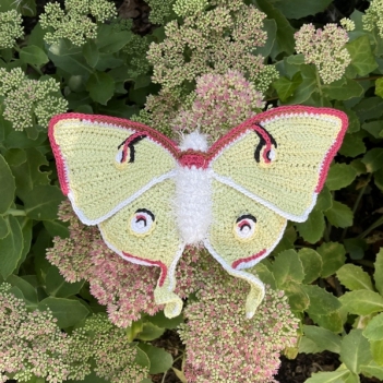 Luna Moth Butterfly amigurumi pattern by MieksCreaties